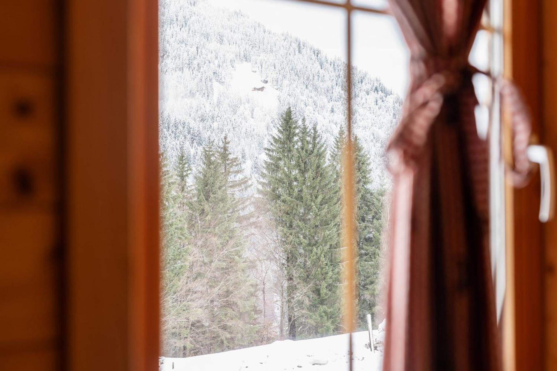 Neuberg Alm Βίλα Sankt Gallenkirch Εξωτερικό φωτογραφία