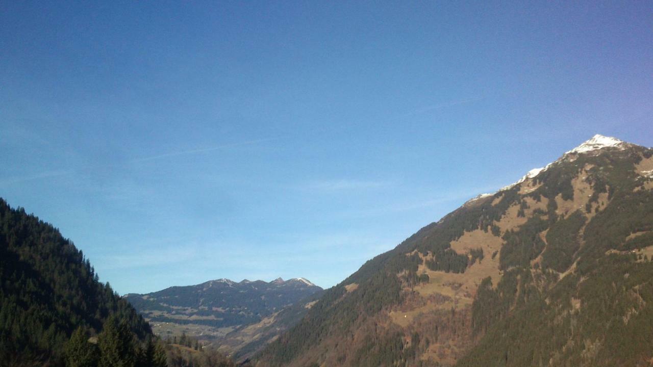 Neuberg Alm Βίλα Sankt Gallenkirch Εξωτερικό φωτογραφία
