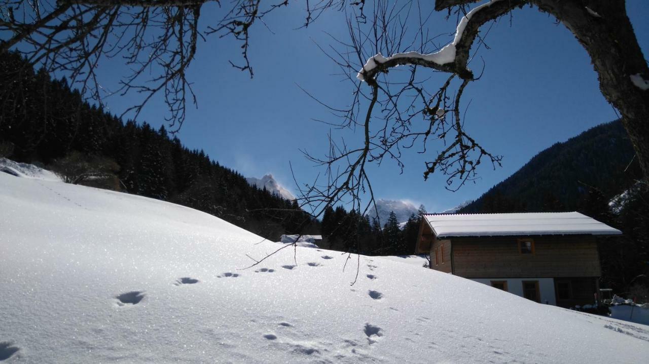 Neuberg Alm Βίλα Sankt Gallenkirch Εξωτερικό φωτογραφία